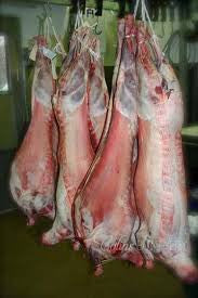 Fresh Full Baby Lamb 20/lb Veg Fed